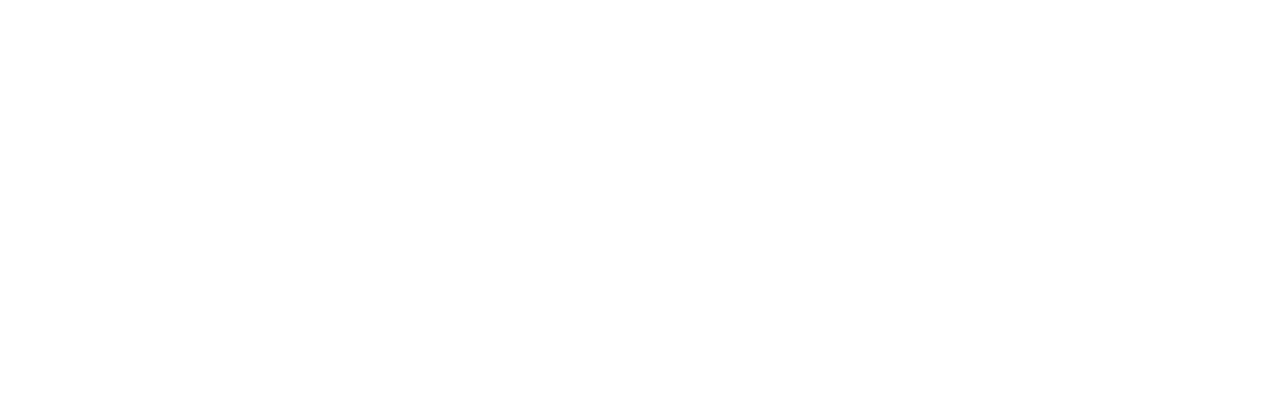 FIELD OF ACTIVITY